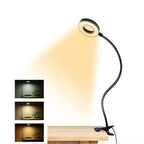 Clamp-On Adjustable Desk Lamp