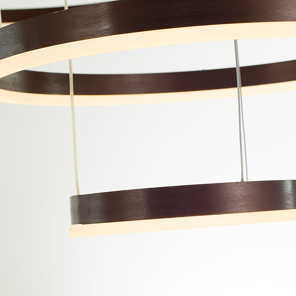 Arisha Ring Pendant Light – Modern Black and Gold Circular Ceiling Fixture
