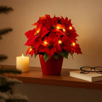RubyBloom Glow LED Flower Lamp – Decorative Light