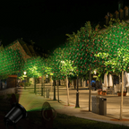 LED Garden Projector