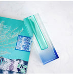 Fleur Iridescent Acrylic Vase
