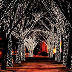 Solar Fairy Lights