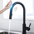 Sensor Kitchen Tap