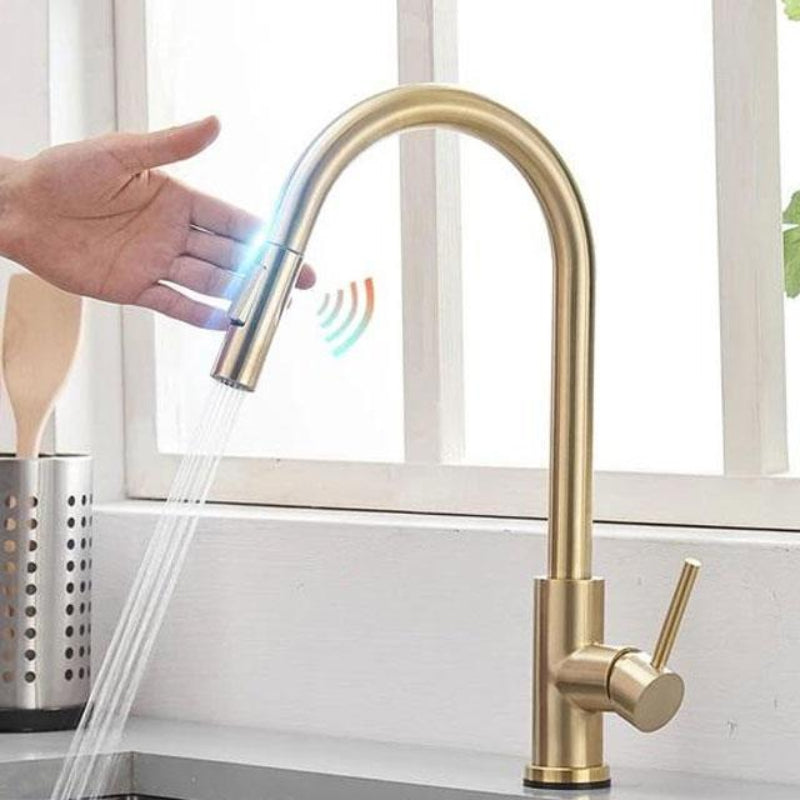 Sensor Kitchen Tap