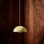 Eronex Brass Glass Pendant Lamp