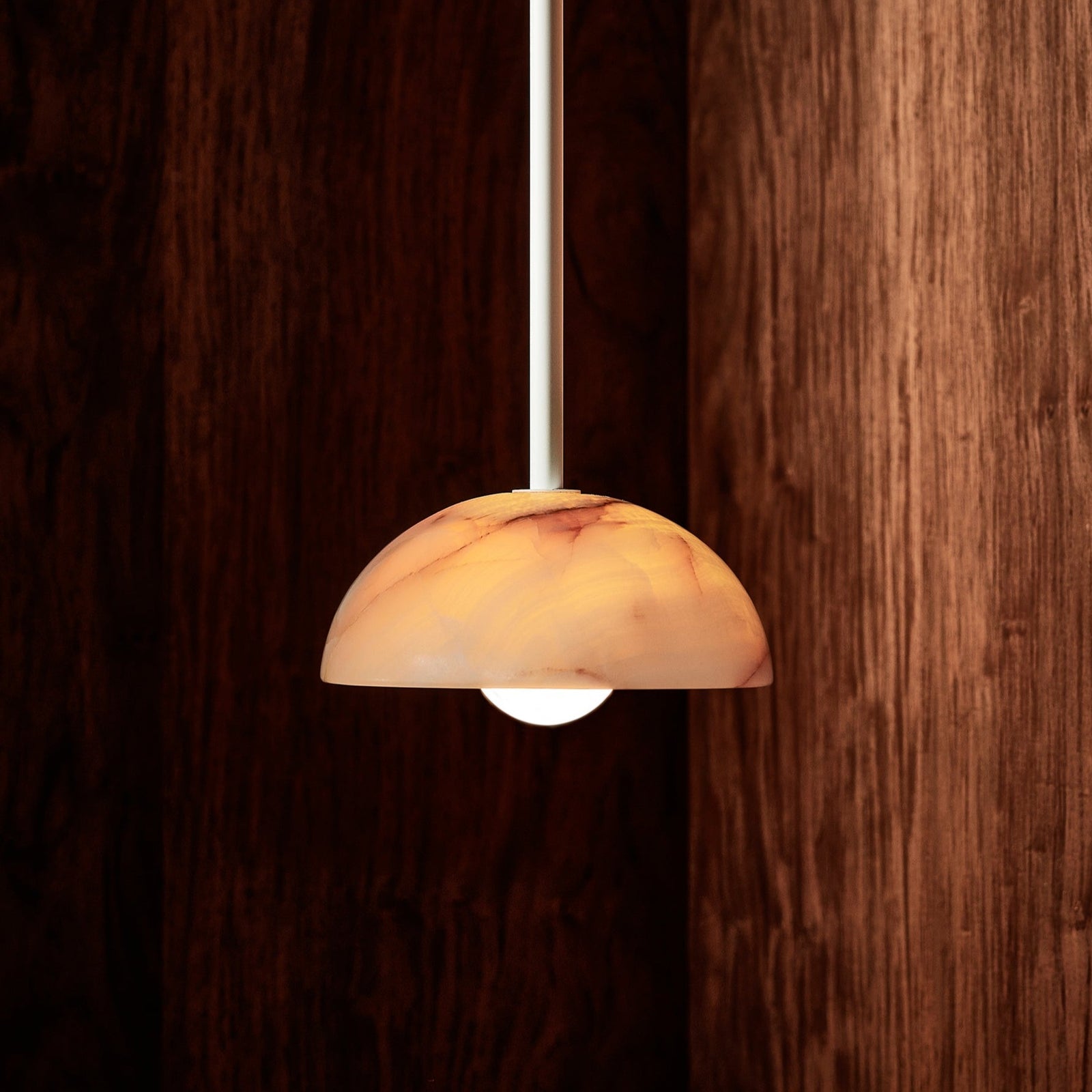 Eronex Brass Glass Pendant Lamp