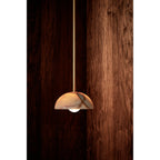 Eronex Brass Glass Pendant Lamp