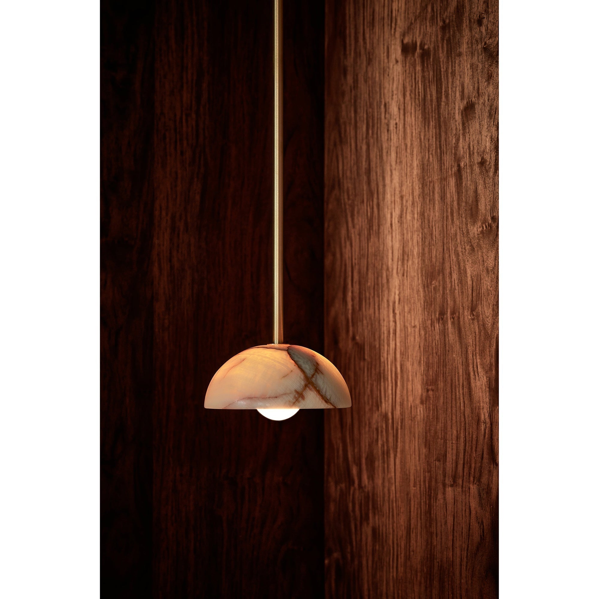 Eronex Brass Glass Pendant Lamp