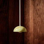 Eronex Brass Glass Pendant Lamp