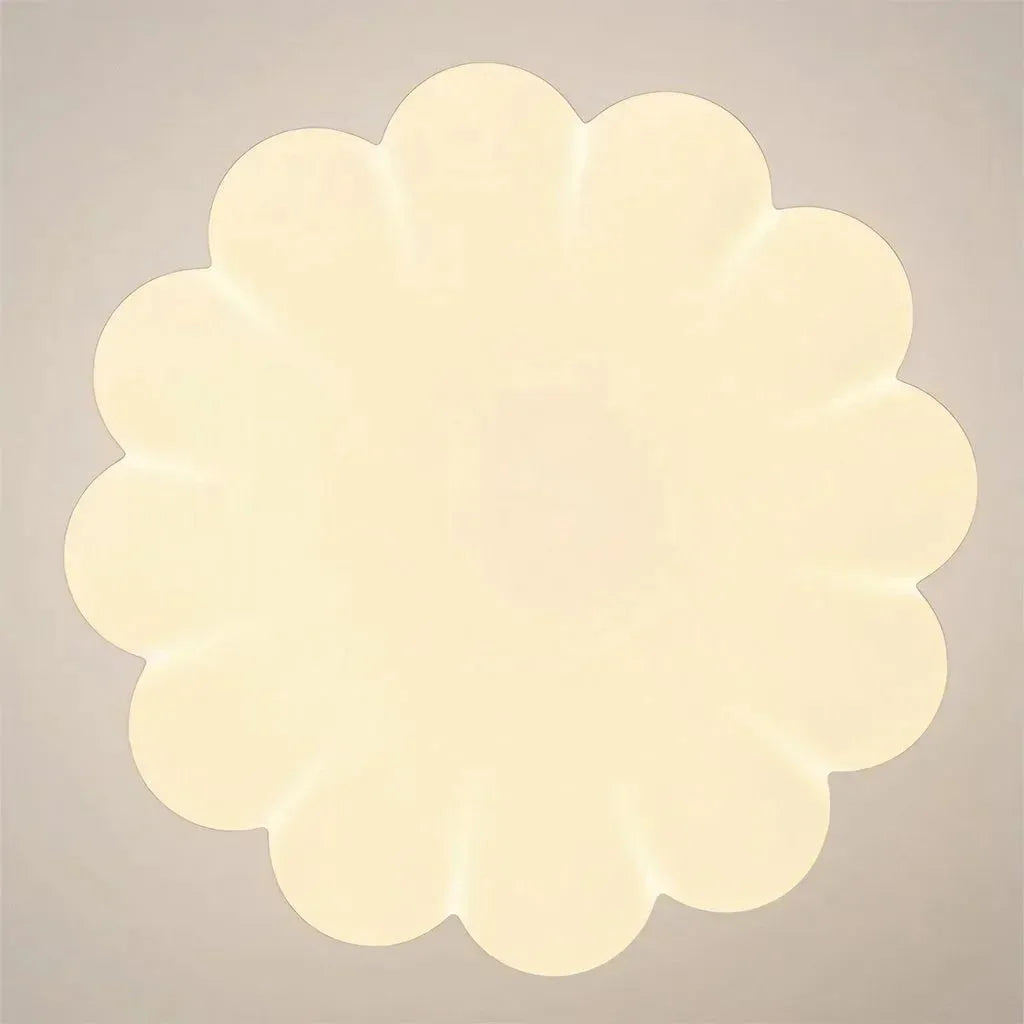 Omir Contemporary Ceiling Light