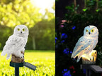 Lumiowl Owl Table Lamp