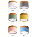 Macaron LED Flush Mount Ceiling Light
