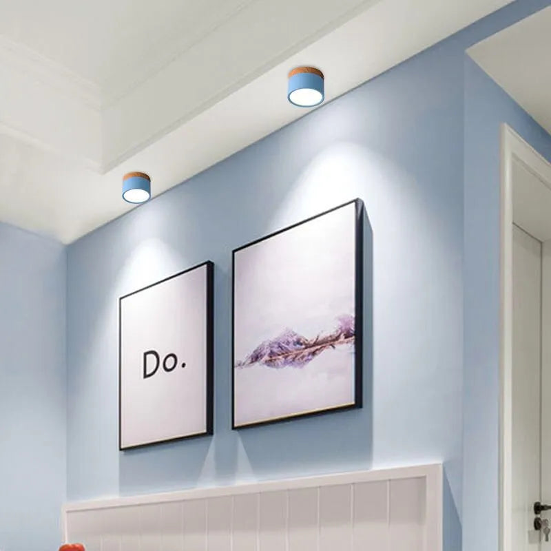 Macaron LED Flush Mount Ceiling Light