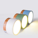 Macaron LED Flush Mount Ceiling Light