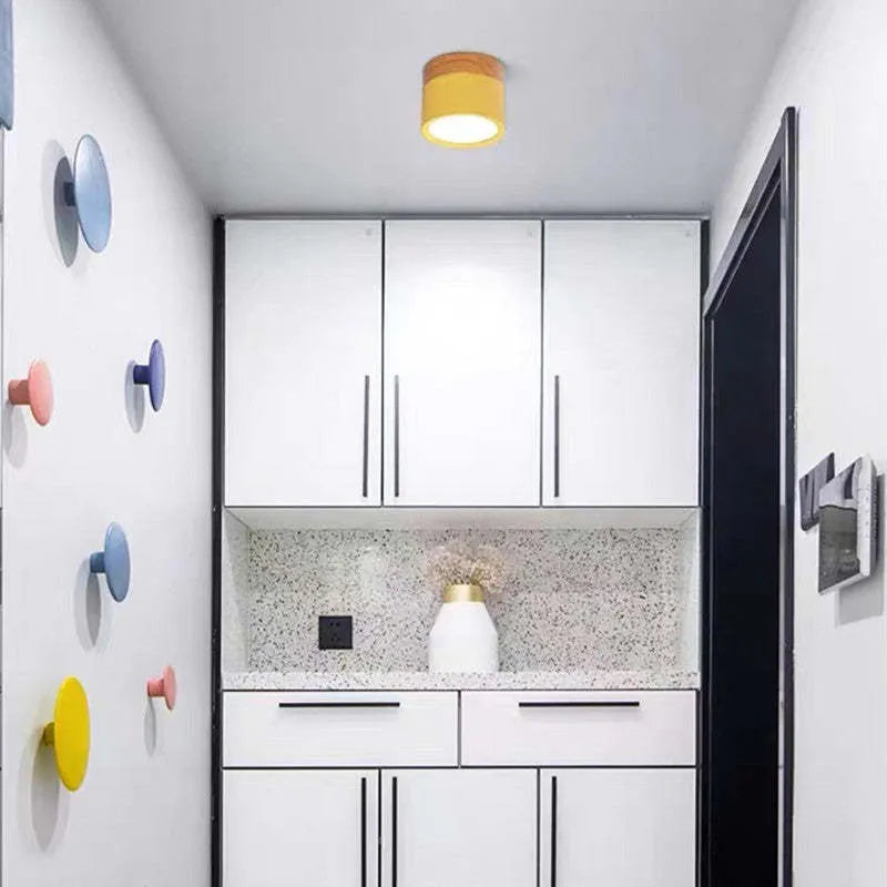 Macaron LED Flush Mount Ceiling Light