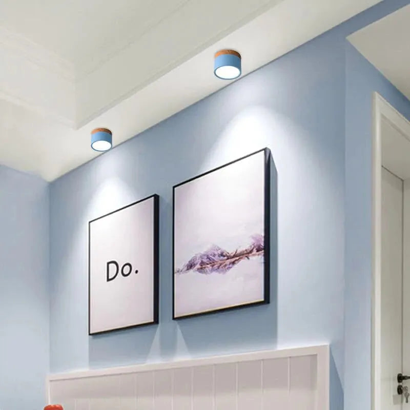 Macaron LED Flush Mount Ceiling Light