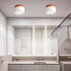 Macaron LED Flush Mount Ceiling Light