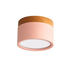 Macaron LED Flush Mount Ceiling Light