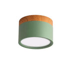 Macaron LED Flush Mount Ceiling Light