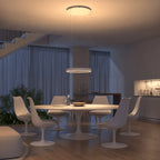 Sol Sculptural Dimmable LED Pendant Light