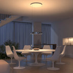 Sol Sculptural Dimmable LED Pendant Light