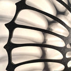 Nautilus Shell Wall Light