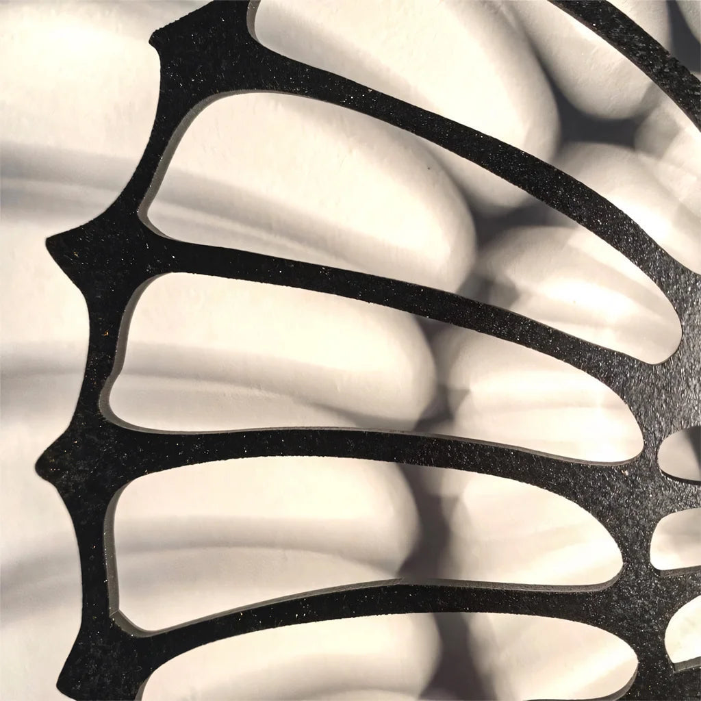 Nautilus Shell Wall Light