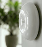 Amio Sculpted Glass LED Wall Light