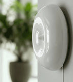 Amio Sculpted Glass LED Wall Light